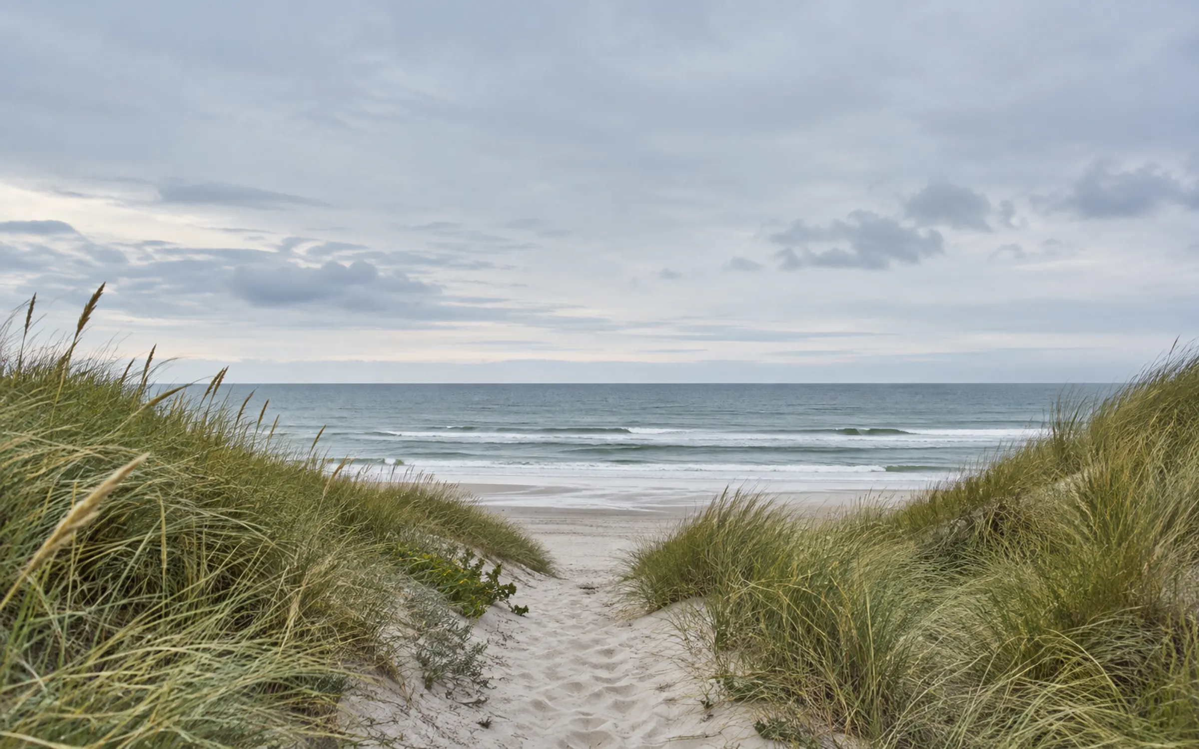 Illustrative Nordseelandschaft mit Dünen und einem Weg zum Meer